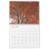 2026 Herbstliche Stimmung das ganze Jahr über Kalender (Mär 2027)