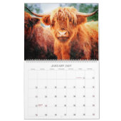 2026 Highland Cow Cattle Cute Watercolor Paintings Kalender (Jan 2027)