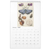 2026 Hoefnagel-Inspiriert Kalender - D. Walser-Kol (Jan 2026)