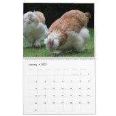 2026 Hühner Wandkalender Cute (Jan 2027)