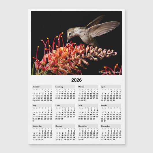 2026 Hummingbird 5x7" Magnetic Mini Calendar Magnetkarte (Vorderseite)