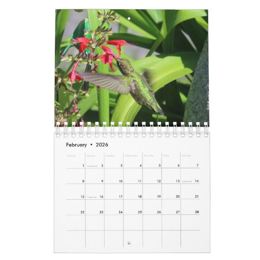 2026 Hummingbird Calendar Kalender (Feb 2026)