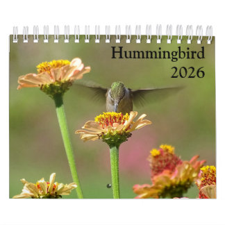 2026 Hummingbird Calendar Kalender