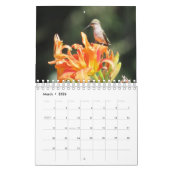 2026 Hummingbird Calendar Kalender (Mär 2026)
