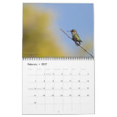 2026 Hummingbird Wall Calendar Kalender (Feb 2027)