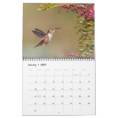 2026 Hummingbird Wall Calendar Kalender (Jan 2027)