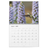 2026 Hummingbird Wall Calendar Kalender (Mär 2027)