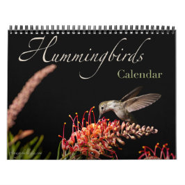 2026 Hummingbird Wall Calendar Kalender