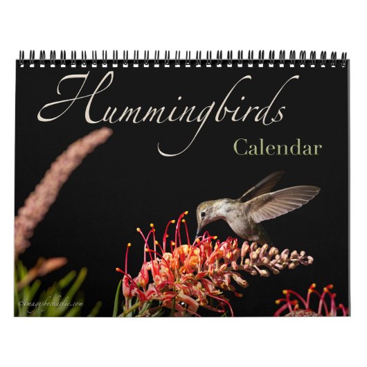 2026 Hummingbird Wall Calendar Kalender (Titelbild)