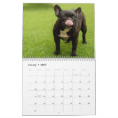 2026 Hunderassen | Beliebte Hunde Liebhaber Kalender (Jan 2027)