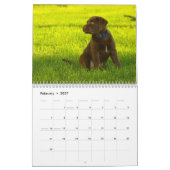 2026 Hunderassen | Beliebte Hunde Liebhaber Kalender (Feb 2027)