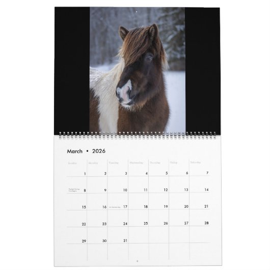 2026 Icelandic Horse Calendar Kalender (Mär 2026)