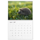 2026 Igel-Wandkalender | 12 Monate Kalender (Mär 2027)
