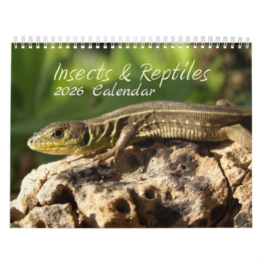 2026 Insekten- und Reptilienkalender Kalender (Titelbild)