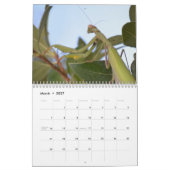 2026 Insekten- und Reptilienkalender Kalender (Mär 2027)