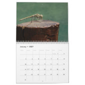 2026 Insekten- und Reptilienkalender Kalender (Jan 2027)