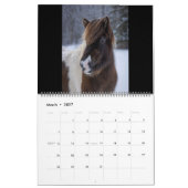 2026 Isländischer Pferdekalender Kalender (Mär 2027)