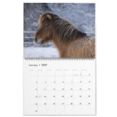 2026 Isländischer Pferdekalender Kalender (Jan 2027)