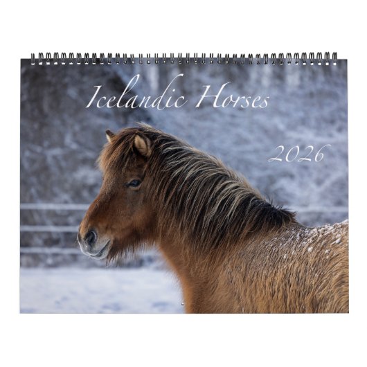 2026 Isländischer Pferdekalender Kalender (Titelbild)