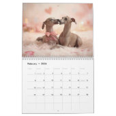 2026 Italian Greyhound Wall Calendar Kalender (Feb 2026)