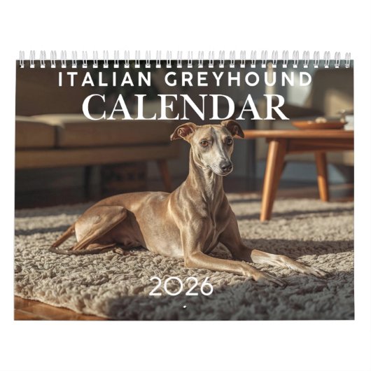 2026 Italian Greyhound Wall Calendar  Kalender (Titelbild)