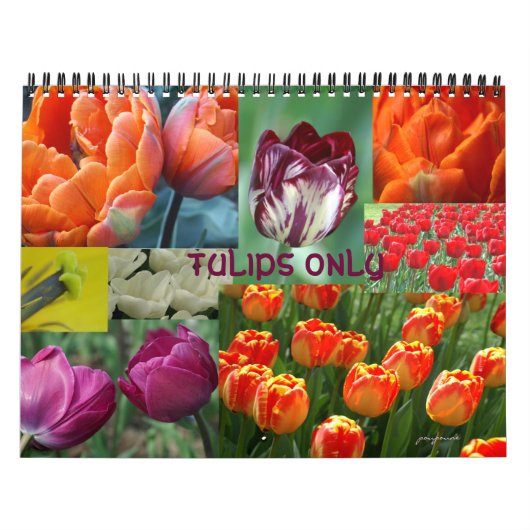 2026 Jahr der Tulpe Kalender (Titelbild)