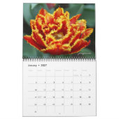2026 Jahr der Tulpe Kalender (Jan 2027)