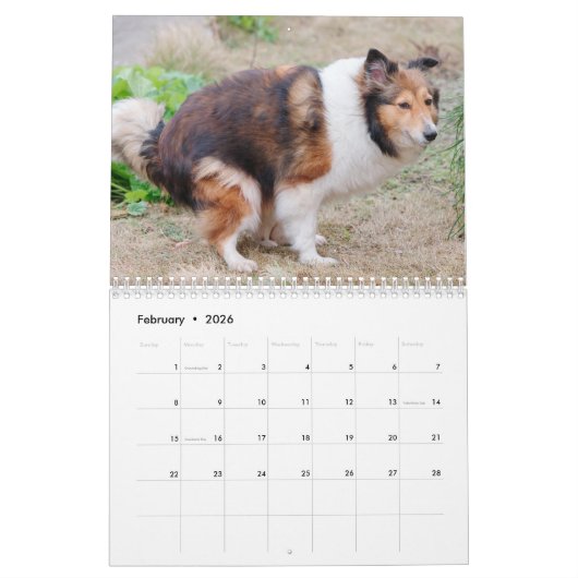 2026 Kackend lustige Tiere Personalisiert Kalender (Feb 2026)