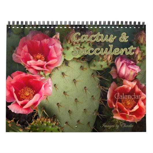 2026 Kaktus & Sukkulente Blume (Originalfassung) Kalender (Titelbild)