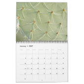 2026 Kaktus & Sukkulente Blume (Originalfassung) Kalender (Jan 2027)