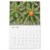2026 Kaktus & Sukkulente Blume (Originalfassung) Kalender (Mär 2027)