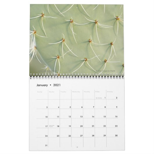 2026 Kaktus & Sukkulente Blume (Originalfassung) Kalender (Jan 2021)