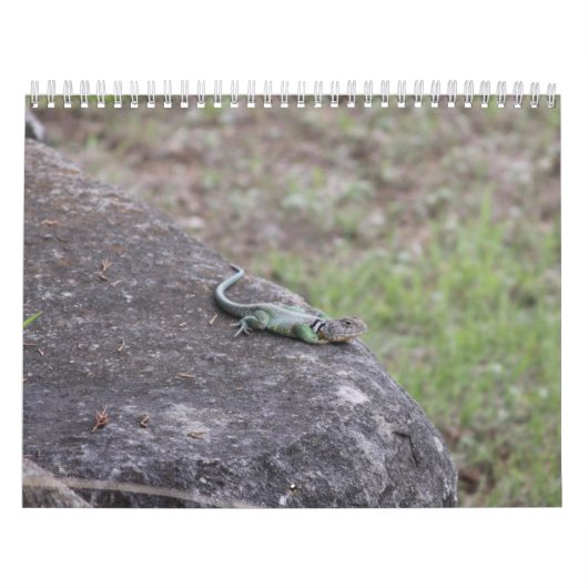 2026 KALENDER (Titelbild)