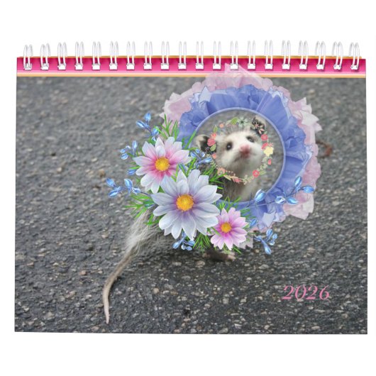 2026 Kalender Farbenfrohe Streifen Opossum (Rückseite)