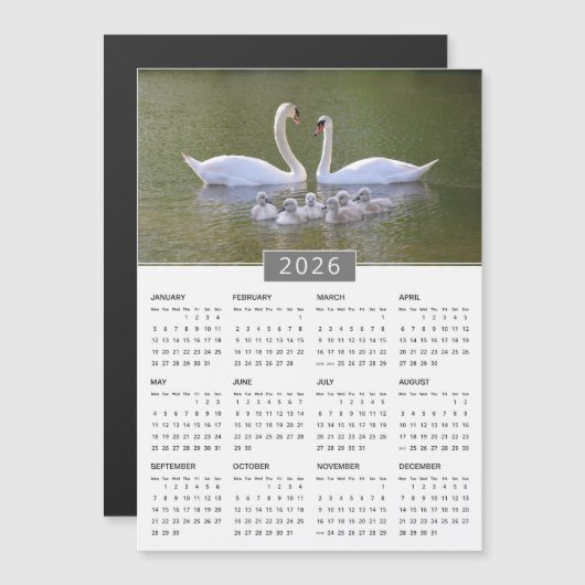 2026 Kalender-Magnet für Schwäne und Cygnets Magnetkarte (Vorne/Hinten)