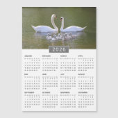 2026 Kalender-Magnet für Schwäne und Cygnets Magnetkarte (Vorderseite)