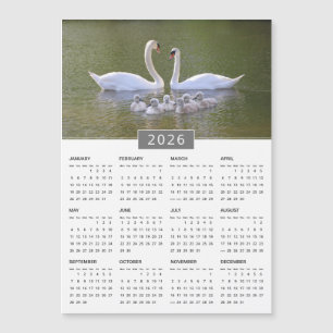 2026 Kalender-Magnet für Schwäne und Cygnets Magnetkarte