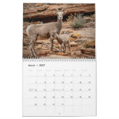 2026 Kalender - Shawn's Zion Country Sampler (Mär 2027)