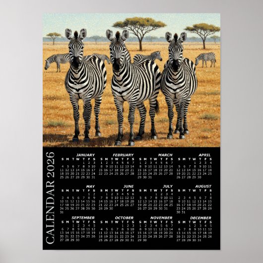 2026 Kalender, Zebras, Afrikanische Safari, Afrika Poster (Vorne)