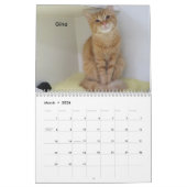 2026 Katzen des Tierschutzhelters in Oklahoma City Kalender (Mär 2026)