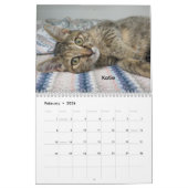2026 Katzen des Tierschutzhelters in Oklahoma City Kalender (Feb 2026)