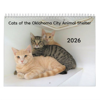 2026 Katzen des Tierschutzhelters in Oklahoma City Kalender