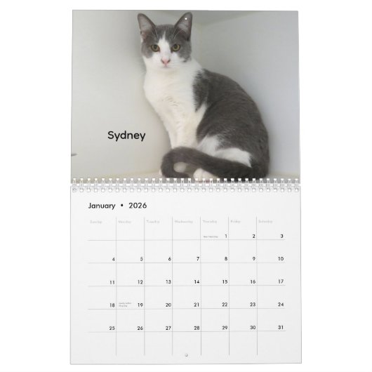 2026 Katzen des Tierschutzhelters in Oklahoma City Kalender (Jan 2026)