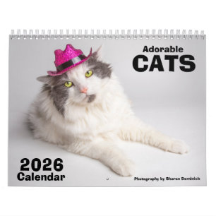 2026 Katzenkalender mit süßen Katzen Fotografien Kalender