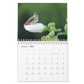 2026 Kolibri-Kalender Kalender (Jan 2027)