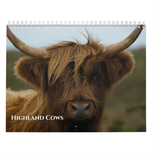 2026 Kühe im Hochland Kalender (Titelbild)