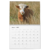 2026 Kühe im Hochland Kalender (Mär 2027)