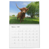 2026 Kühe im Hochland Kalender (Feb 2027)