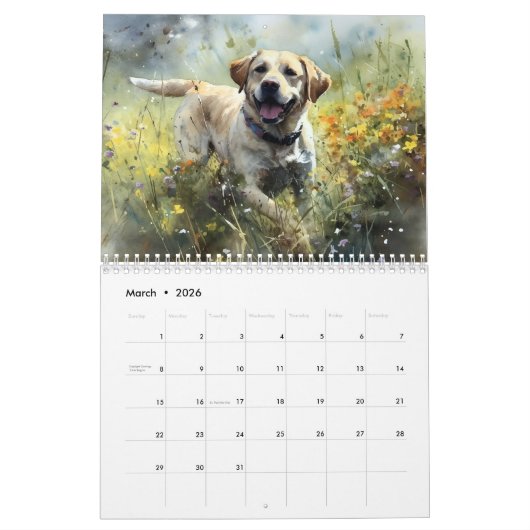 2026 Labrador Retriever Kalender (Mär 2026)
