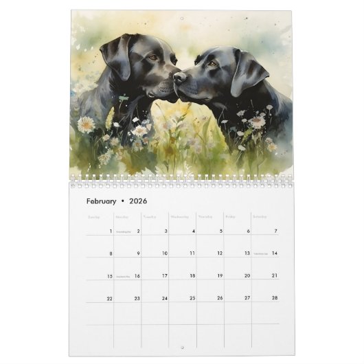 2026 Labrador Retriever Kalender (Feb 2026)